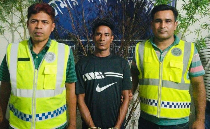 ডোমারে বসতবাড়ীতে গাঁজা চাষ, যুবক গ্রেফতার